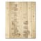 Designart - Beige Eucalyptus Branches On White - Traditional Print on Natural Pine Wood